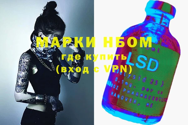 прущие грибы Алзамай