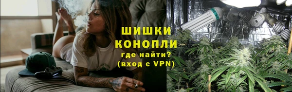 прущие грибы Алзамай