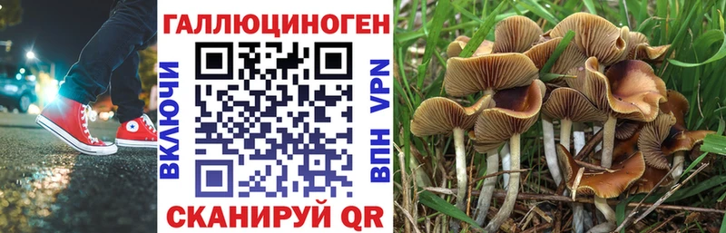 Галлюциногенные грибы MAGIC MUSHROOMS  ссылка на мегу ТОР  Артёмовский 